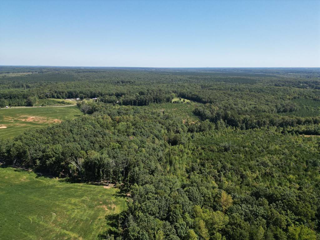 Charlotte Court House, VA 23923,5 Acres Dabbs Bridge Road