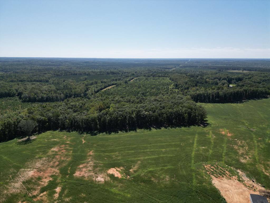 Charlotte Court House, VA 23923,5 Acres Dabbs Bridge Road