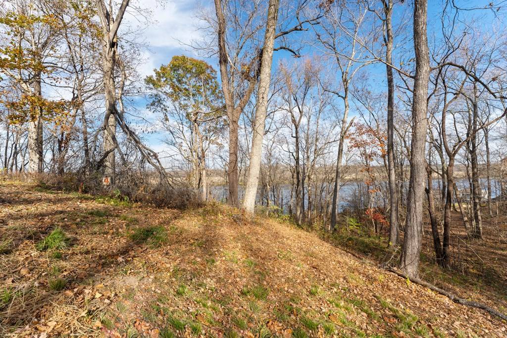 Boydton, VA 23917,Lot 3R Boxwood Shores Drive