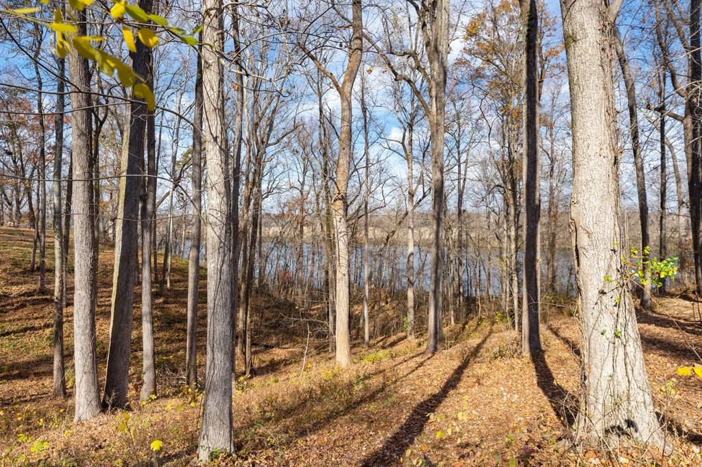 Boydton, VA 23917,lot 4R Boxwood Shores Drive