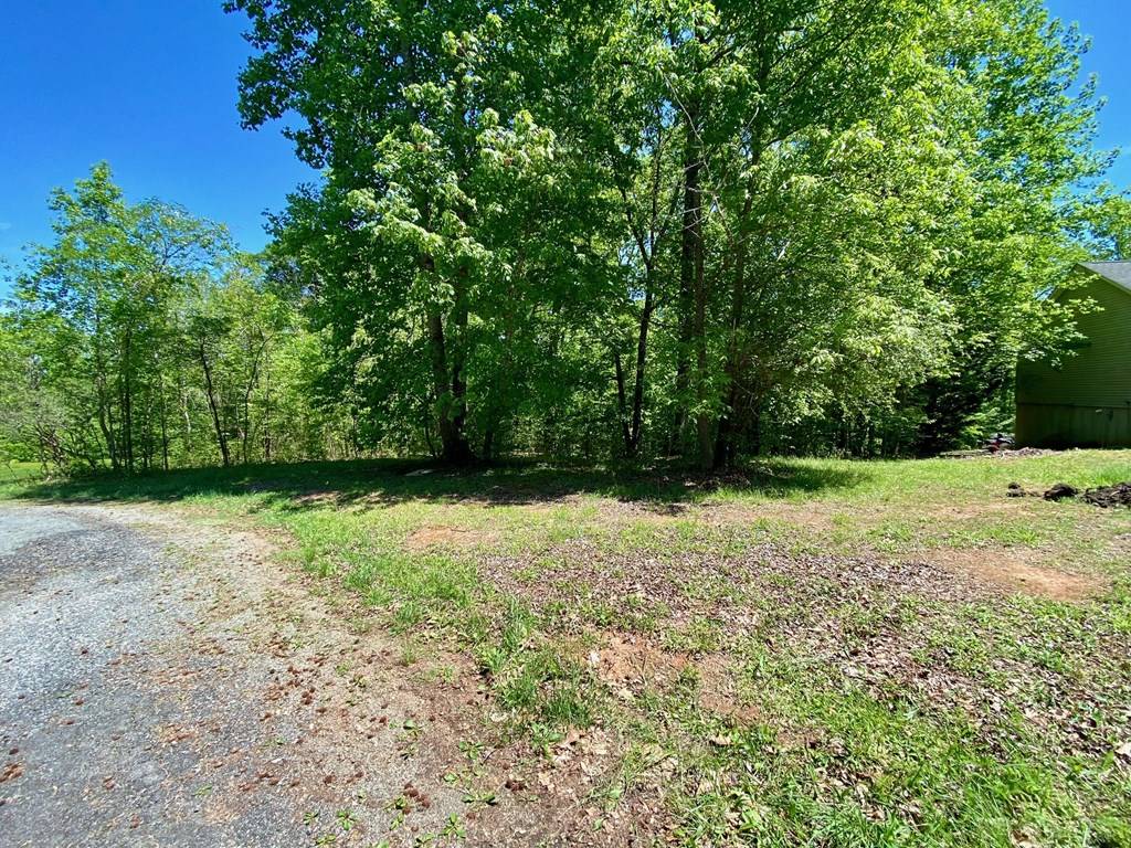 Buffalo Junction, VA 24529,Lot 5 Palomino Road