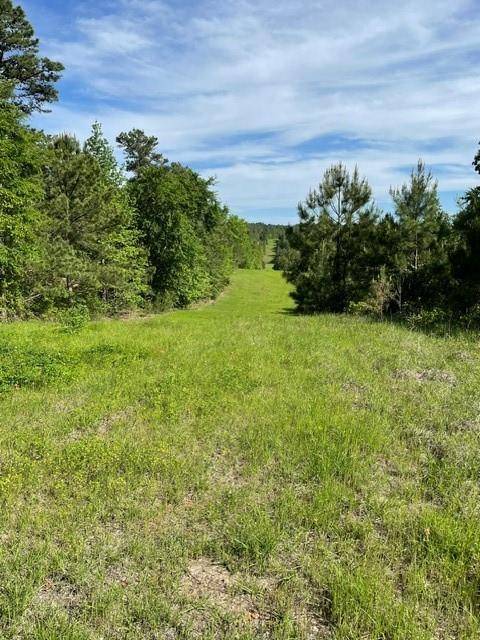 Palestine, TX 75801,PR 6294 Private Road 6294