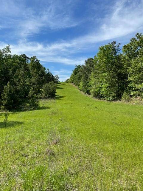 Palestine, TX 75801,PR 6294 Private Road 6294