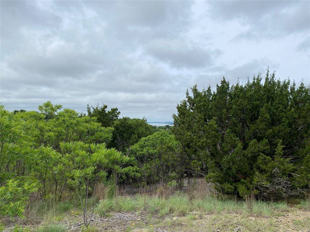 Possum Kingdom Lake, TX 76449,Lot 663 Balcones Lane