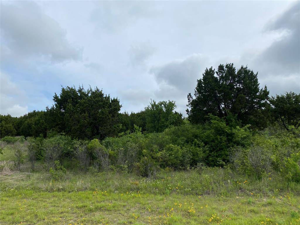 Possum Kingdom Lake, TX 76449,Lot 663 Balcones Lane