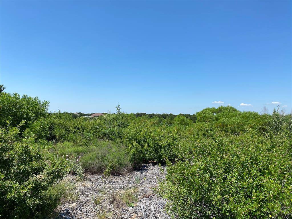 Possum Kingdom Lake, TX 76449,Lot645R Canyon Wren Loop