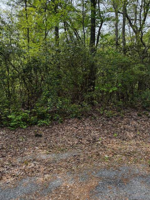 Heathsville, VA 22473,Lot#42 Knights Landing DR