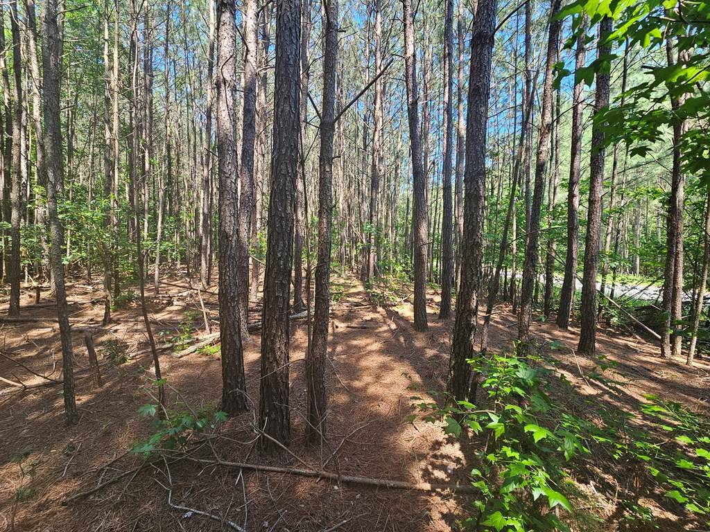 Heathsville, VA 22473,Lot 12 Greenwood Beach RD