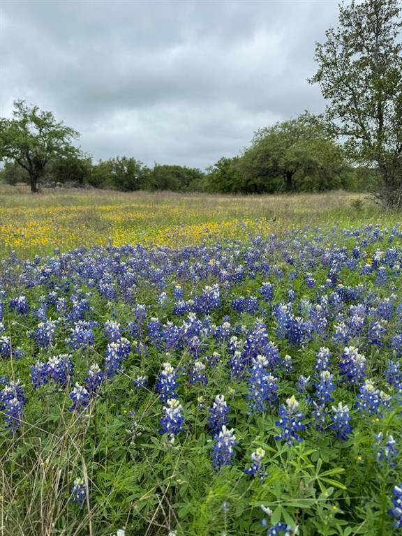 Glen Rose, TX 76043,TBD Hidden Cove Trail