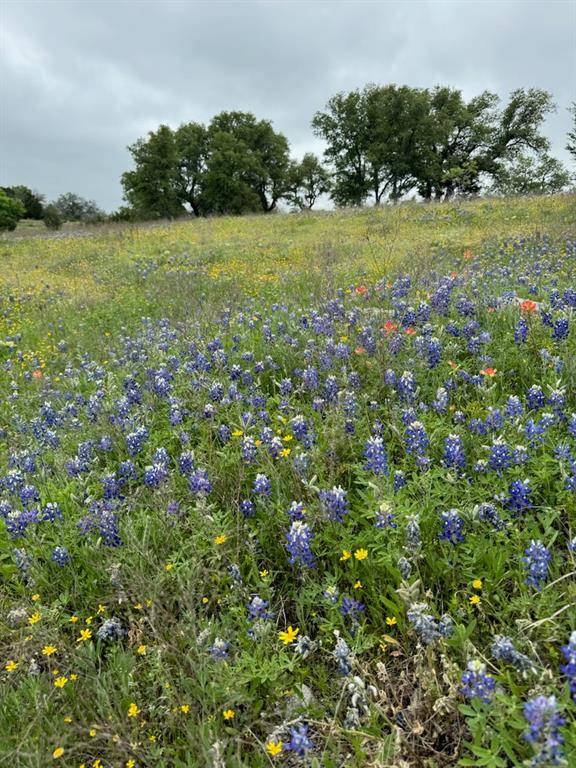 Glen Rose, TX 76043,TBD Hidden Cove Trail