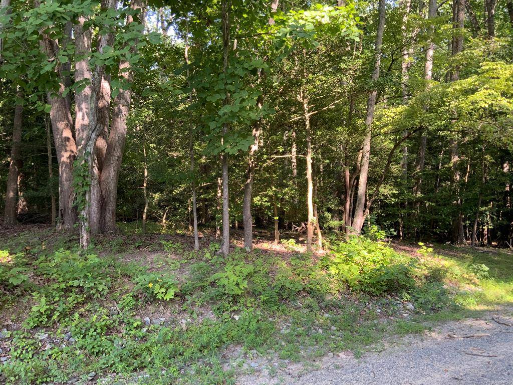 Lancaster, VA 22503,Lot 142 Ridgeview LN