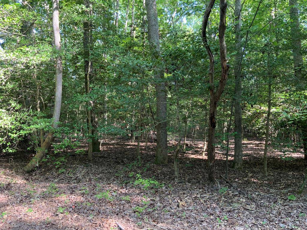 Lancaster, VA 22503,Lot 126 Lonesome Pines TRL