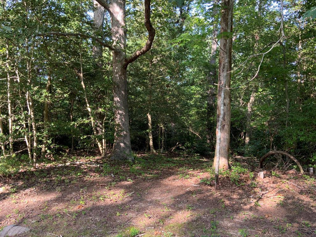 Lancaster, VA 22503,Lot 187 Lake DR