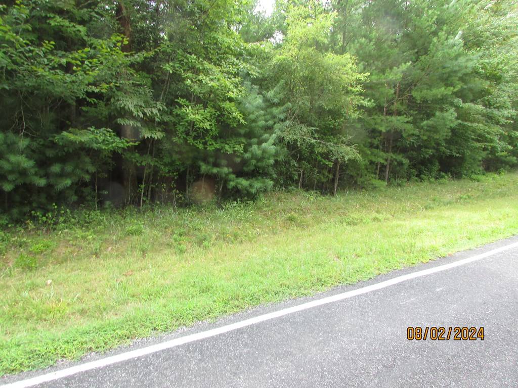 Hayesville, NC 28904,0 Carter Cove Road