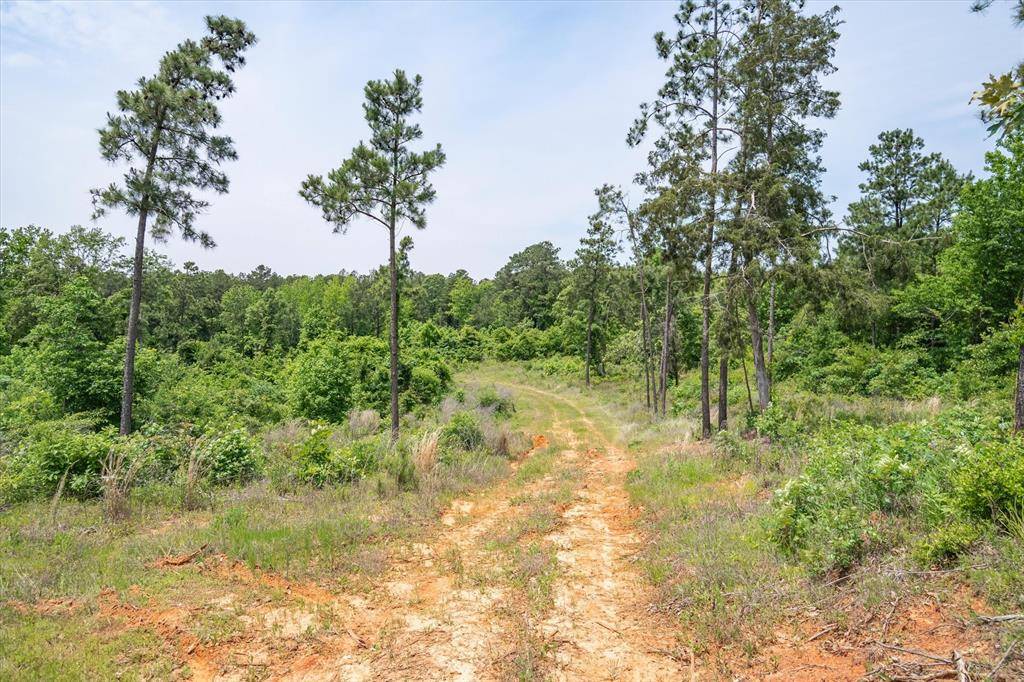 Jacksonville, TX 75766,TBD County Road 4122