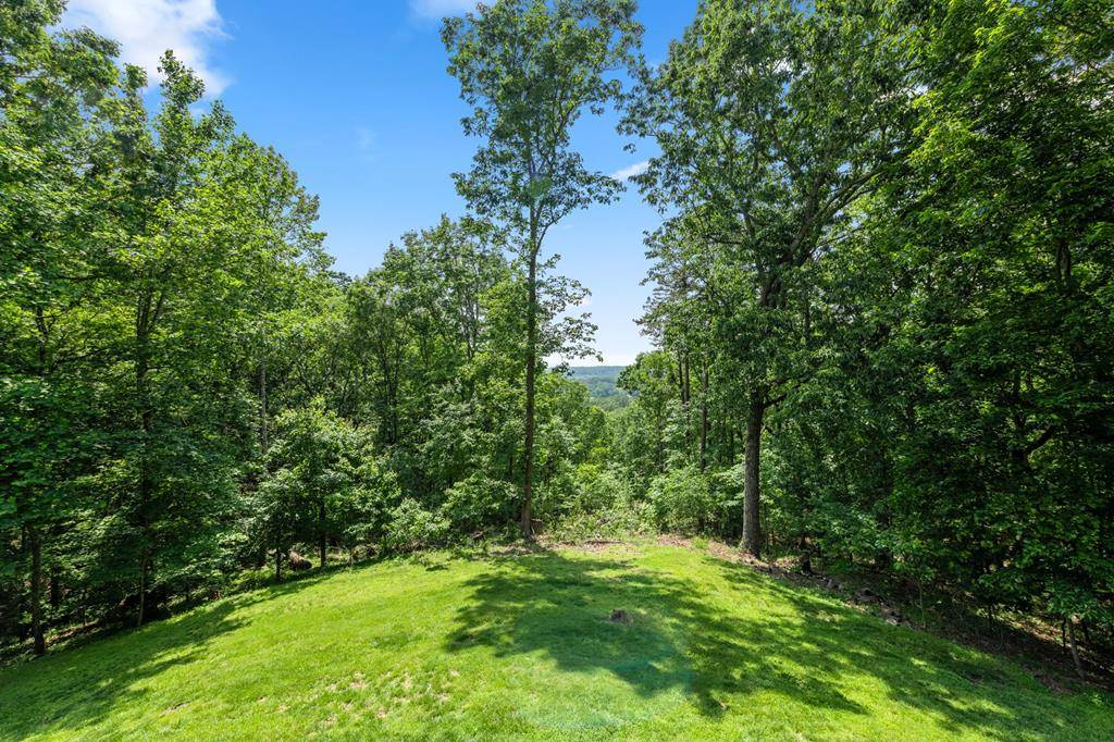 Ellijay, GA 30536,61 Talona Ridge Drive