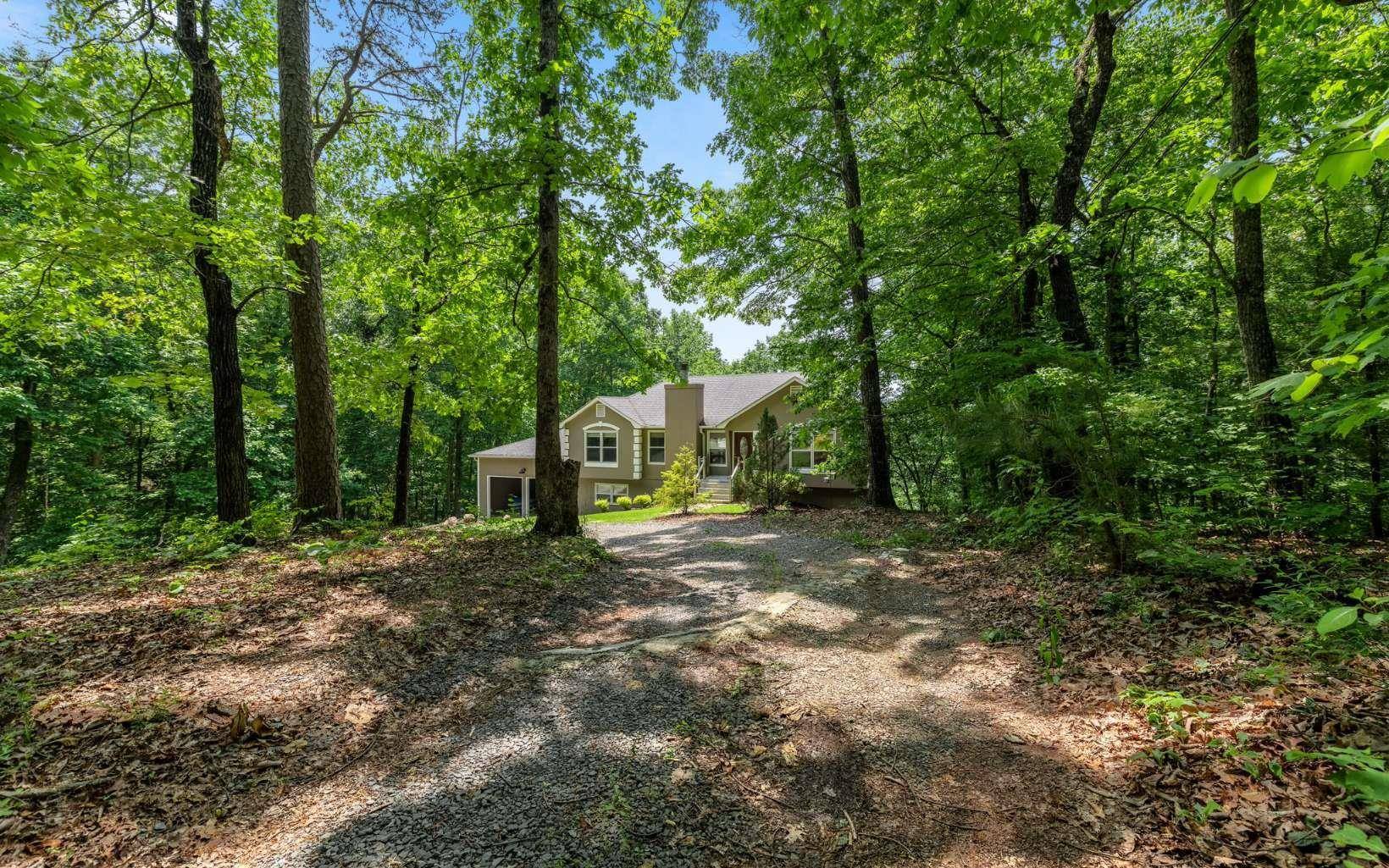 Ellijay, GA 30536,61 Talona Ridge Drive