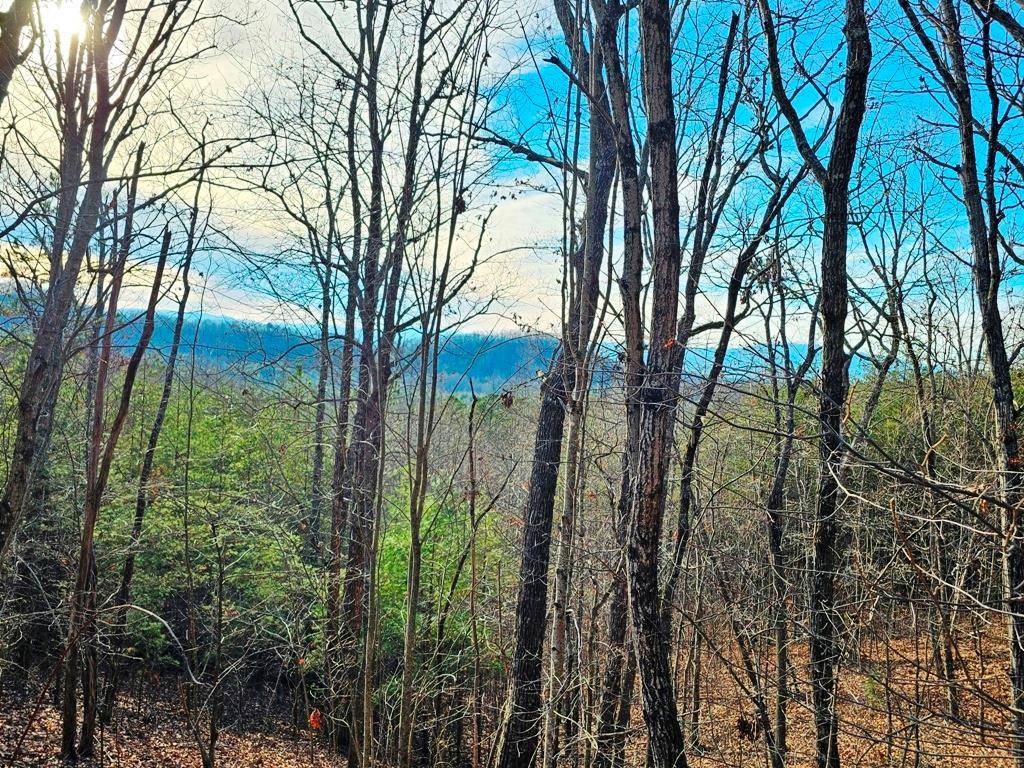 Murphy, NC 28906,Lot 80 Graystone Dr