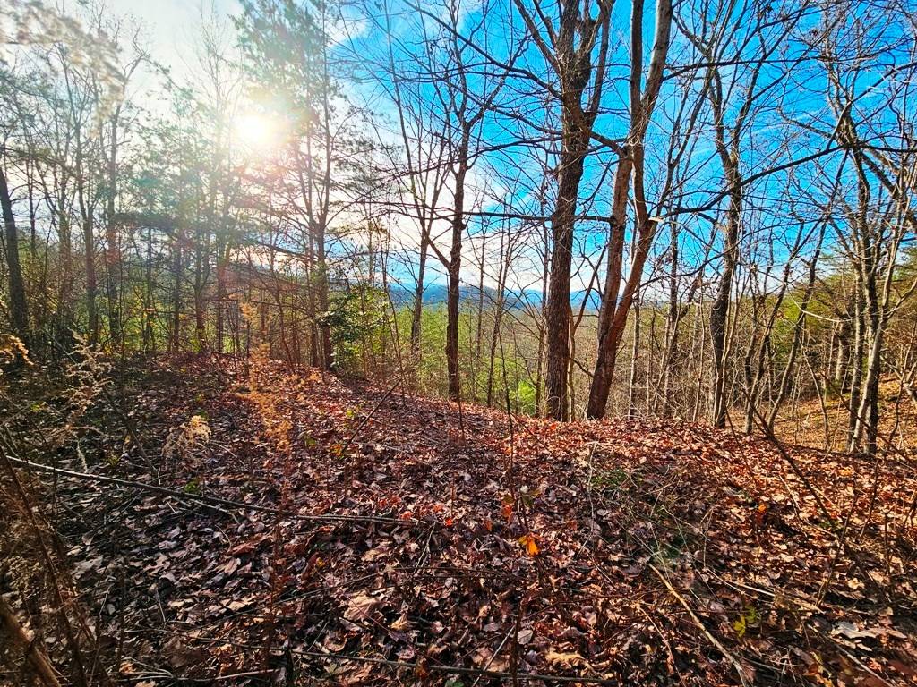 Murphy, NC 28906,Lot 80 Graystone Dr