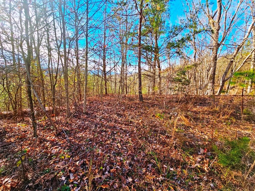 Murphy, NC 28906,Lot 80 Graystone Dr