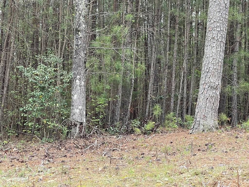 Macon, NC 27551,Lot 4 Spring Branch Dr