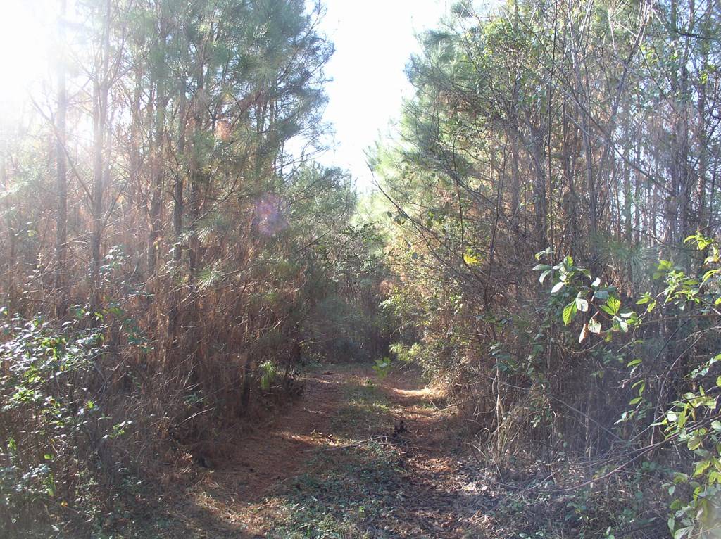 Warrenton, NC 27589,0 Luna Road