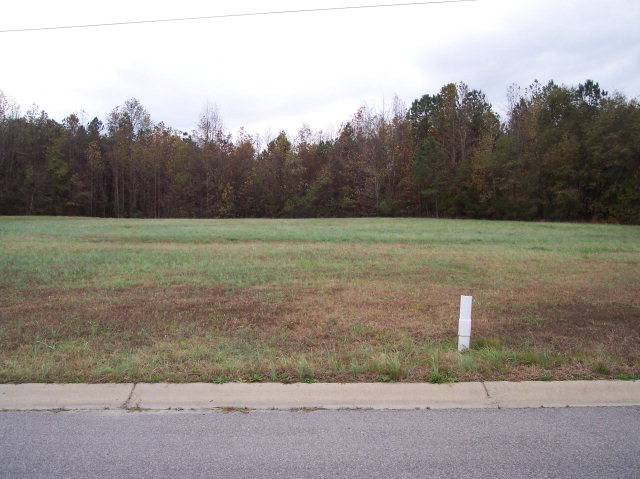 Ahoskie, NC 27910,133 Pinewood Dr  Lot # 11