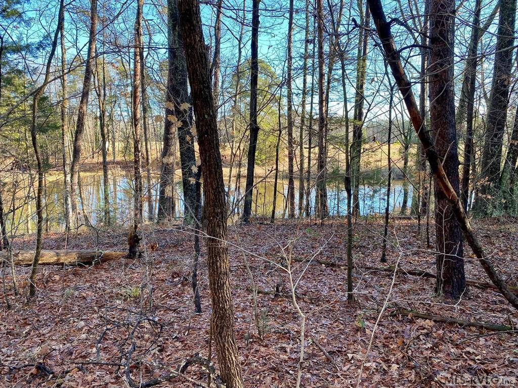 Buffalo Junction, VA 24529,Lot 19 Osprey Lane