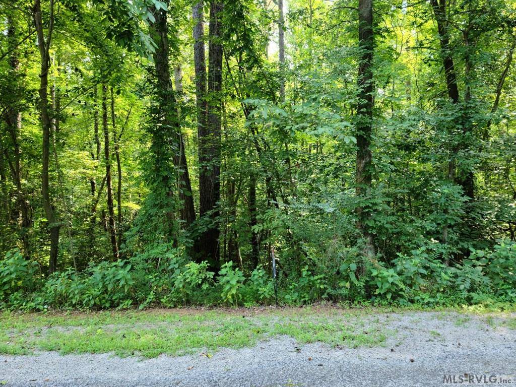 Bracey, VA 23919,Lot 66 Windward Passage