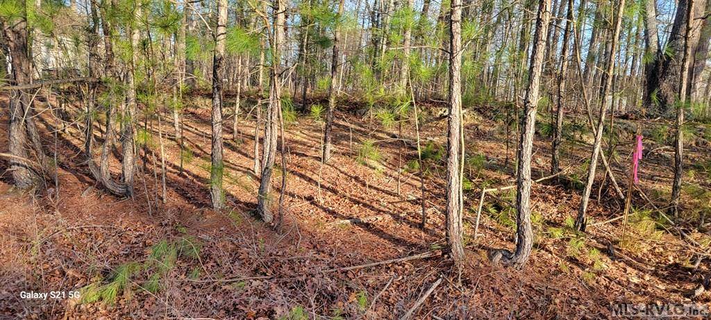 Roanoke Rapids, NC 27870,LOT 67 Lake Pointe Drive