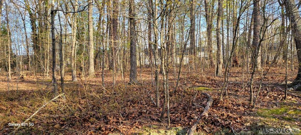 Roanoke Rapids, NC 27870,LOT 67 Lake Pointe Drive