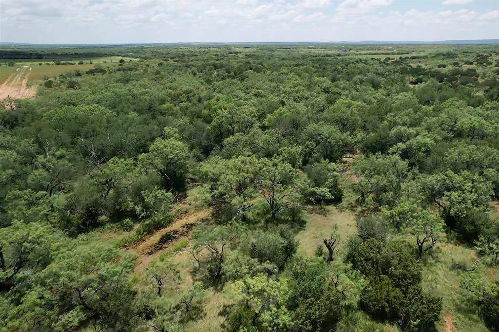 Ovalo, TX 79541,Tract 7 CR 180