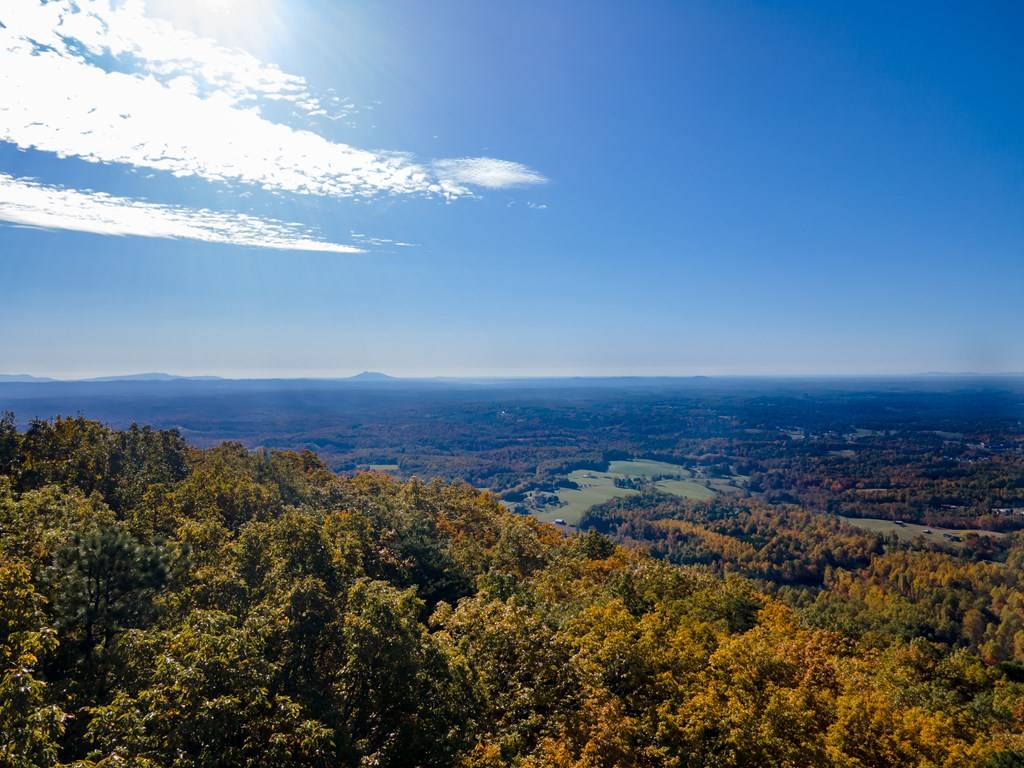 Fancy Gap, VA 24328,5 Acres Reflections Point Trl