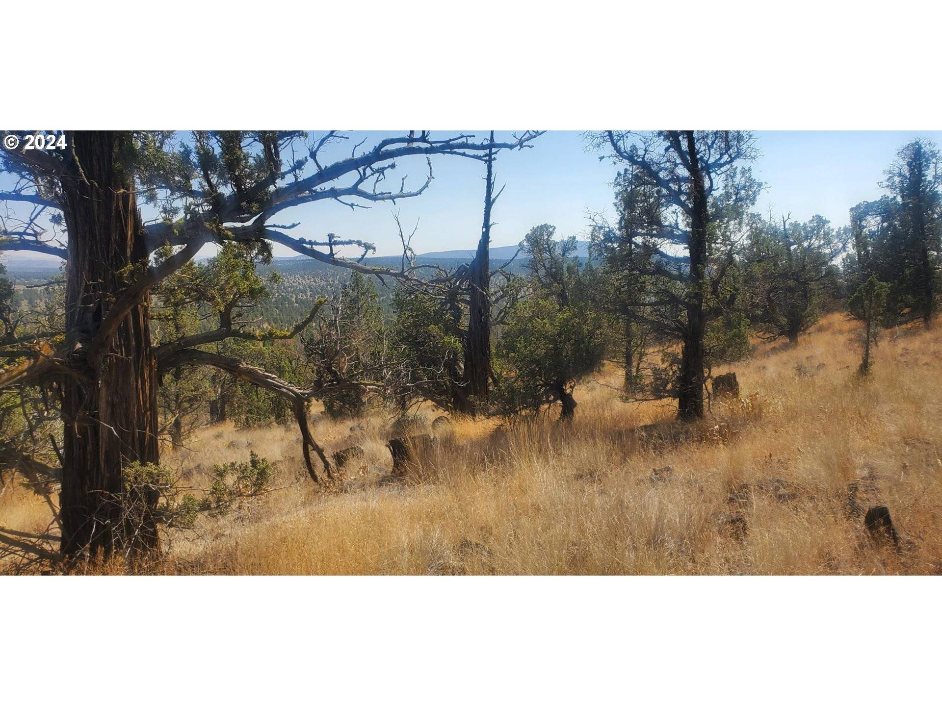 Prineville, OR 97754,NW PINECREST DR