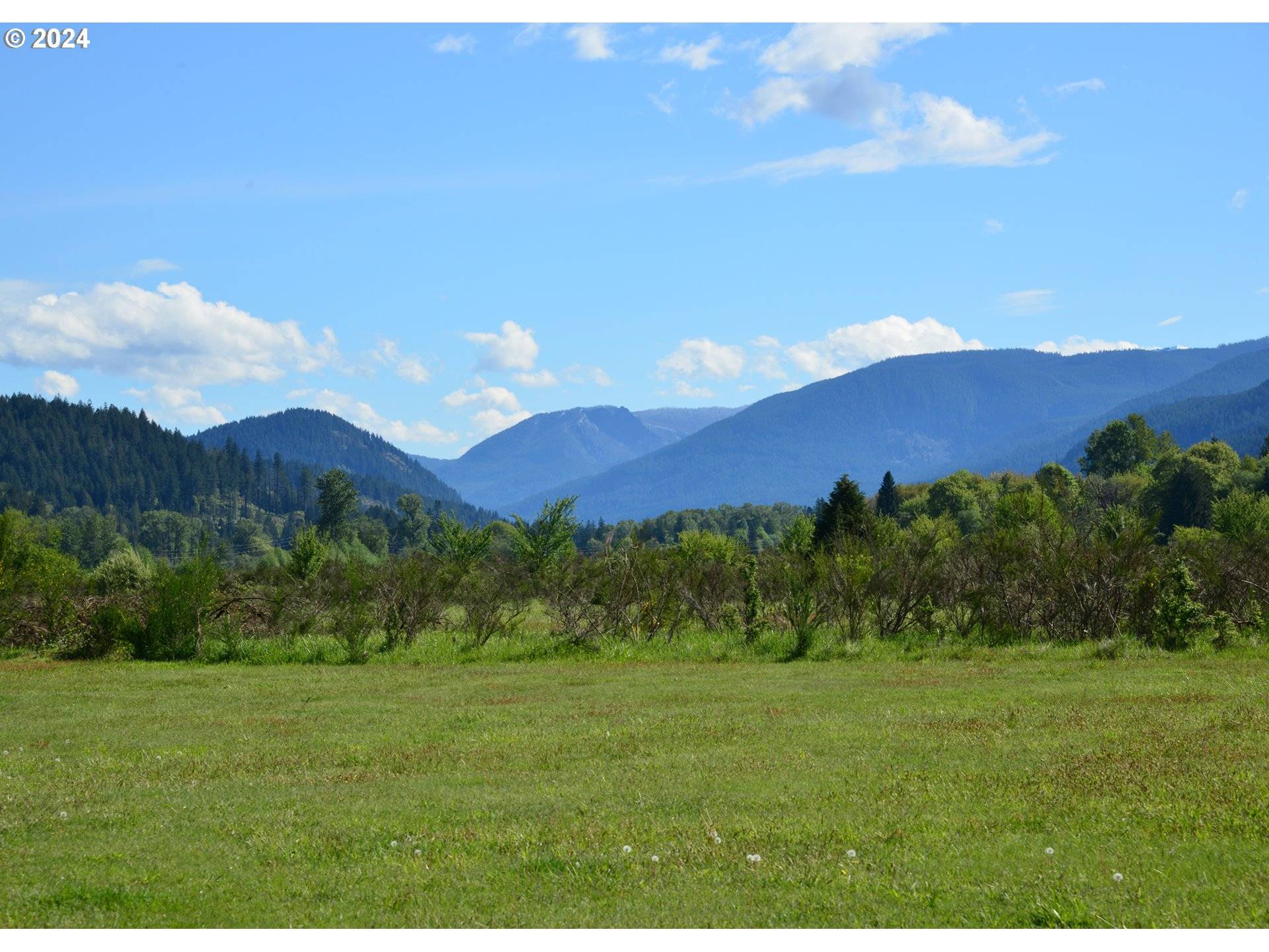 Randle, WA 98377,163 Lone Tree