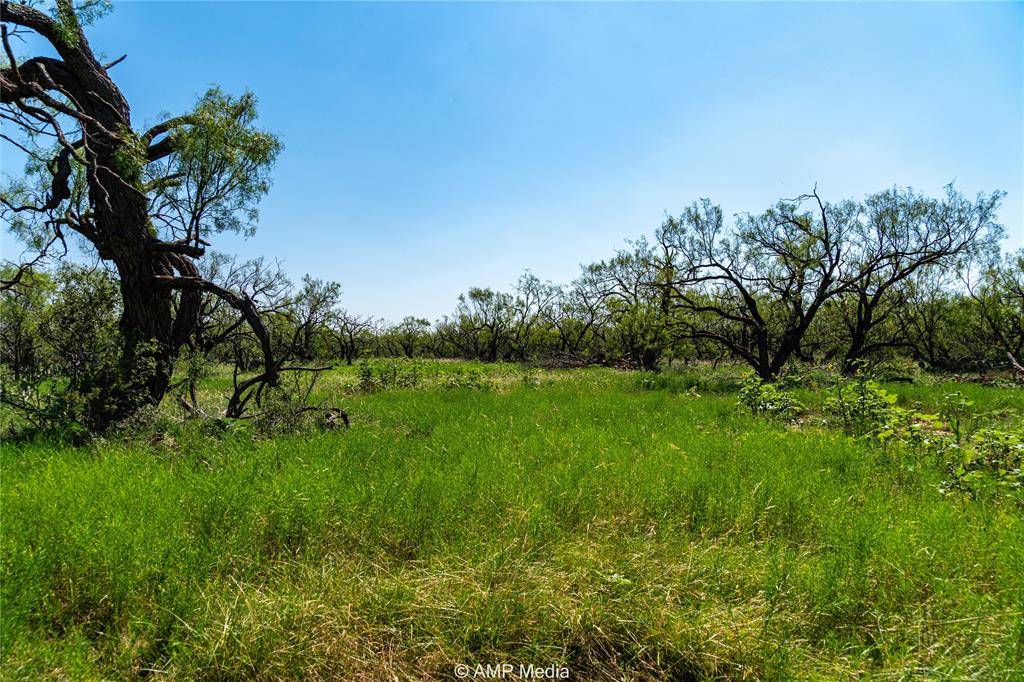 Anson, TX 79501,TBD CR 195