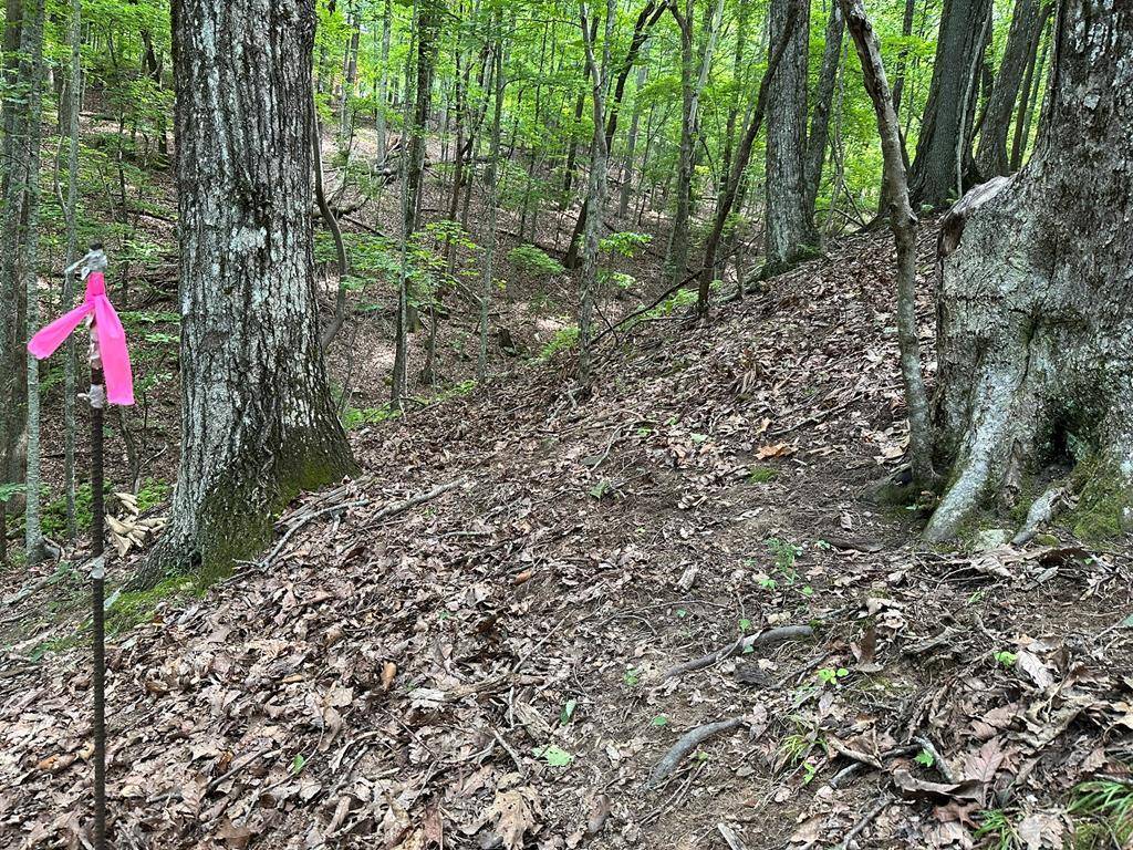 Morganton, GA 30560,Lot 13 Picklesimer Mountain Road