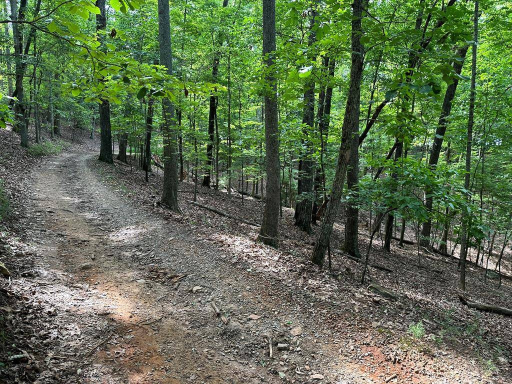 Morganton, GA 30560,Lot 13 Picklesimer Mountain Road