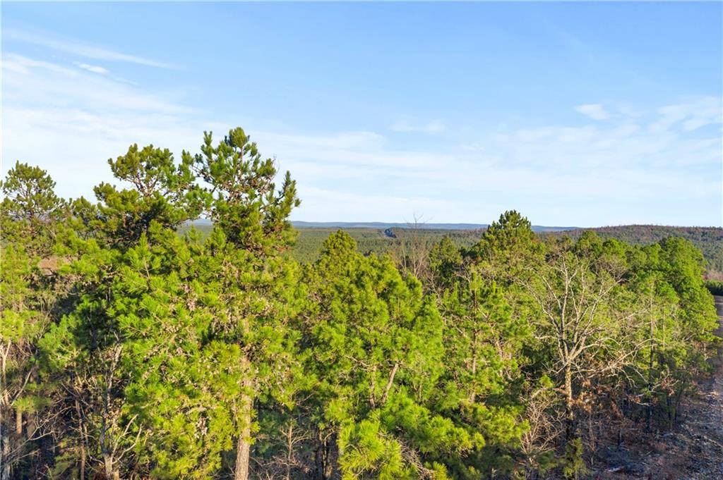 Broken Bow, OK 74728,87 Monterey Oak Trail