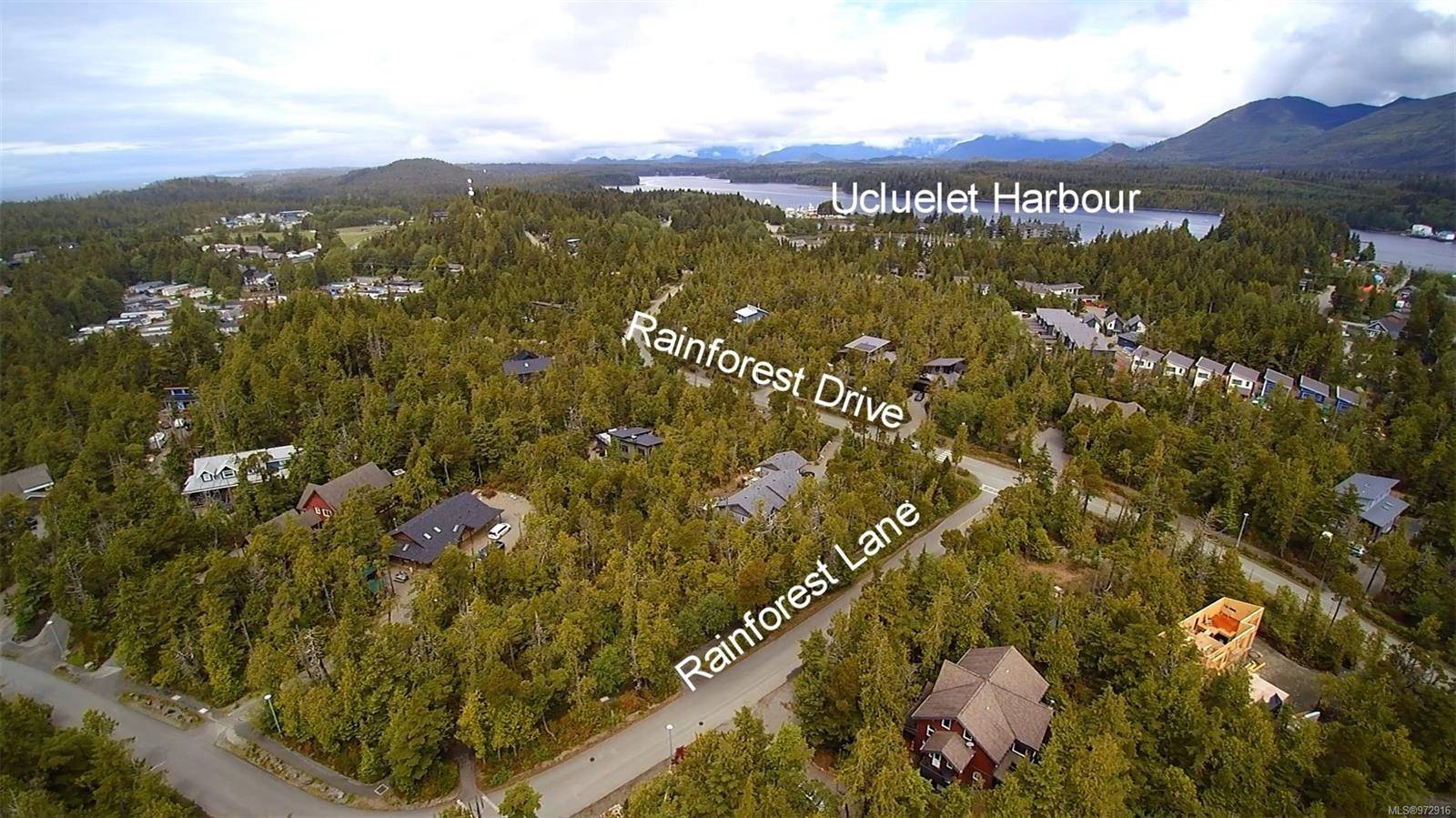 Ucluelet, BC V0R 3A0,LOT 10 Rainforest Lane