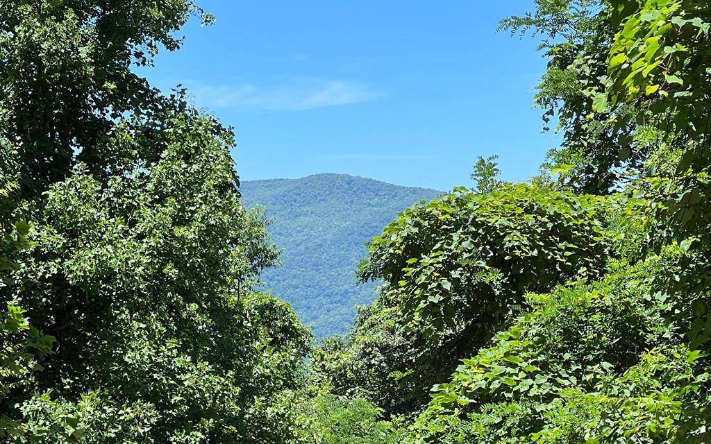 Hayesville, NC 28904,101+ Ac Lori's Mountain