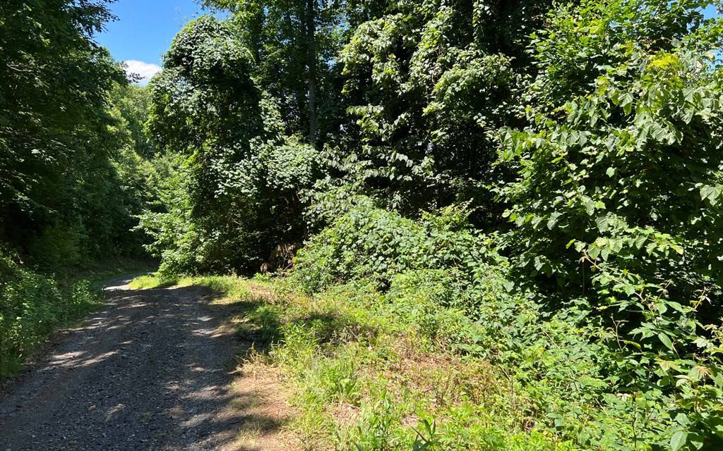 Hayesville, NC 28904,101+ Ac Lori's Mountain