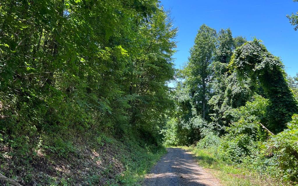 Hayesville, NC 28904,101+ Ac Lori's Mountain