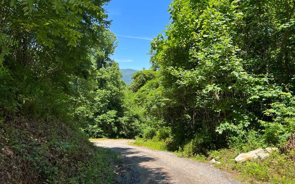 Hayesville, NC 28904,101+ Ac Lori's Mountain