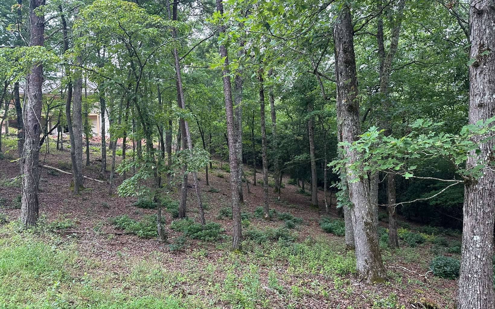 Brasstown, NC 28909,Lot 20 Cricket Lane