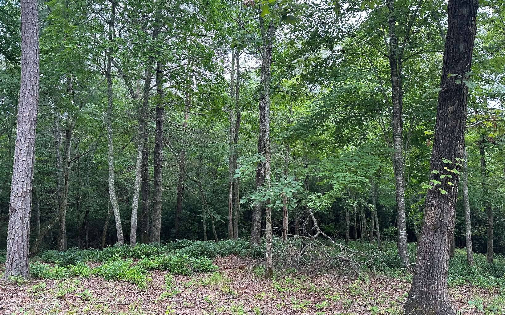 Brasstown, NC 28909,Lot 20 Cricket Lane