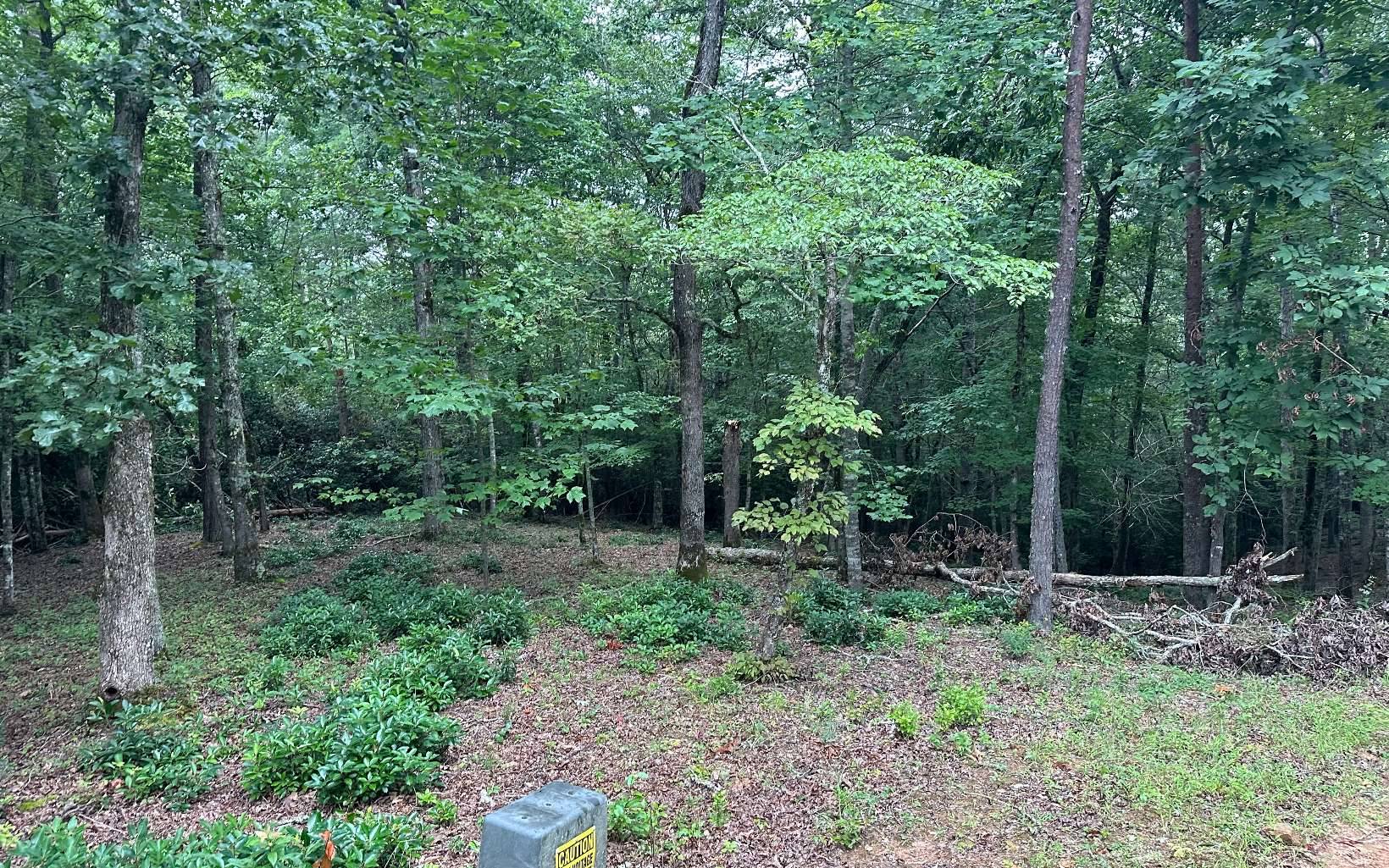 Brasstown, NC 28909,Lot 21 Cricket Lane