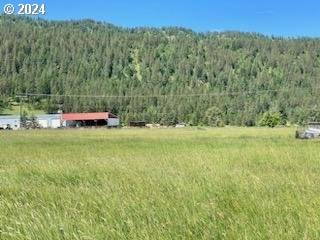 Wallowa, OR 97885,75275 UPPER DIAMOND LN