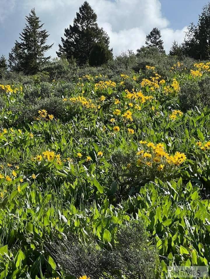 Lava Hot Springs, ID 83246,TBD Baldy Mountain Road