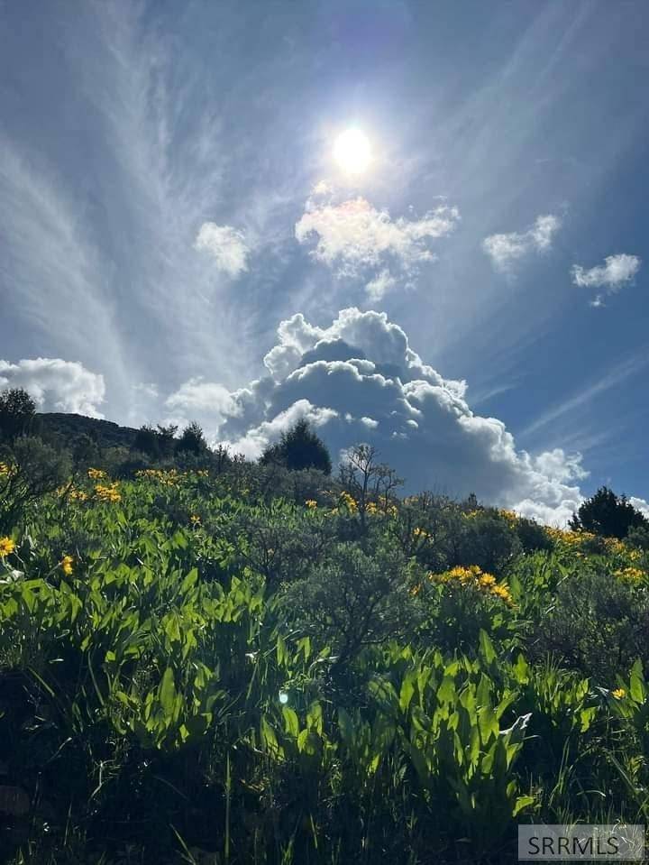 Lava Hot Springs, ID 83246,TBD Baldy Mountain Road